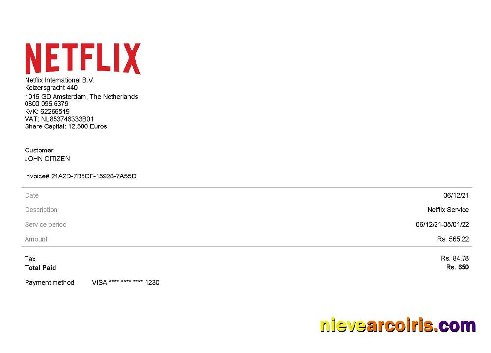 USA Netflix invoice